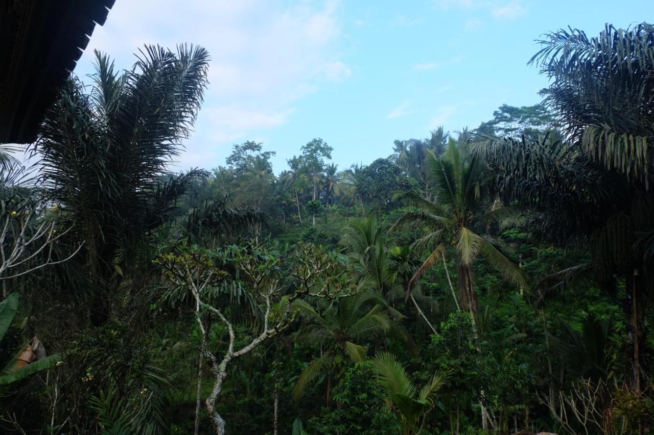 Gunung Kawi House Vila Tegallalang  Exterior foto