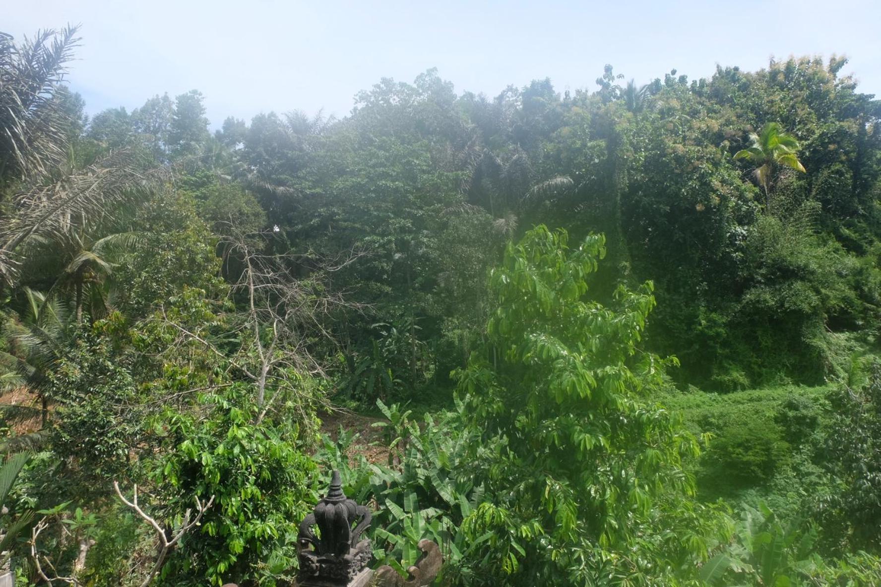 Gunung Kawi House Vila Tegallalang  Exterior foto