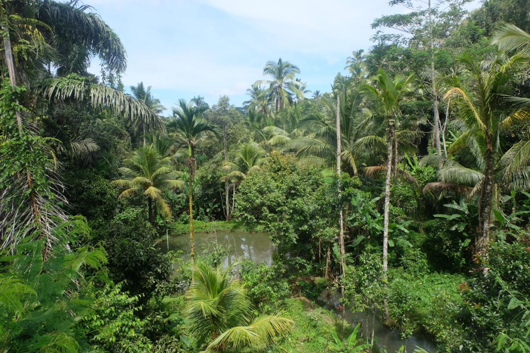 Gunung Kawi House Vila Tegallalang  Exterior foto