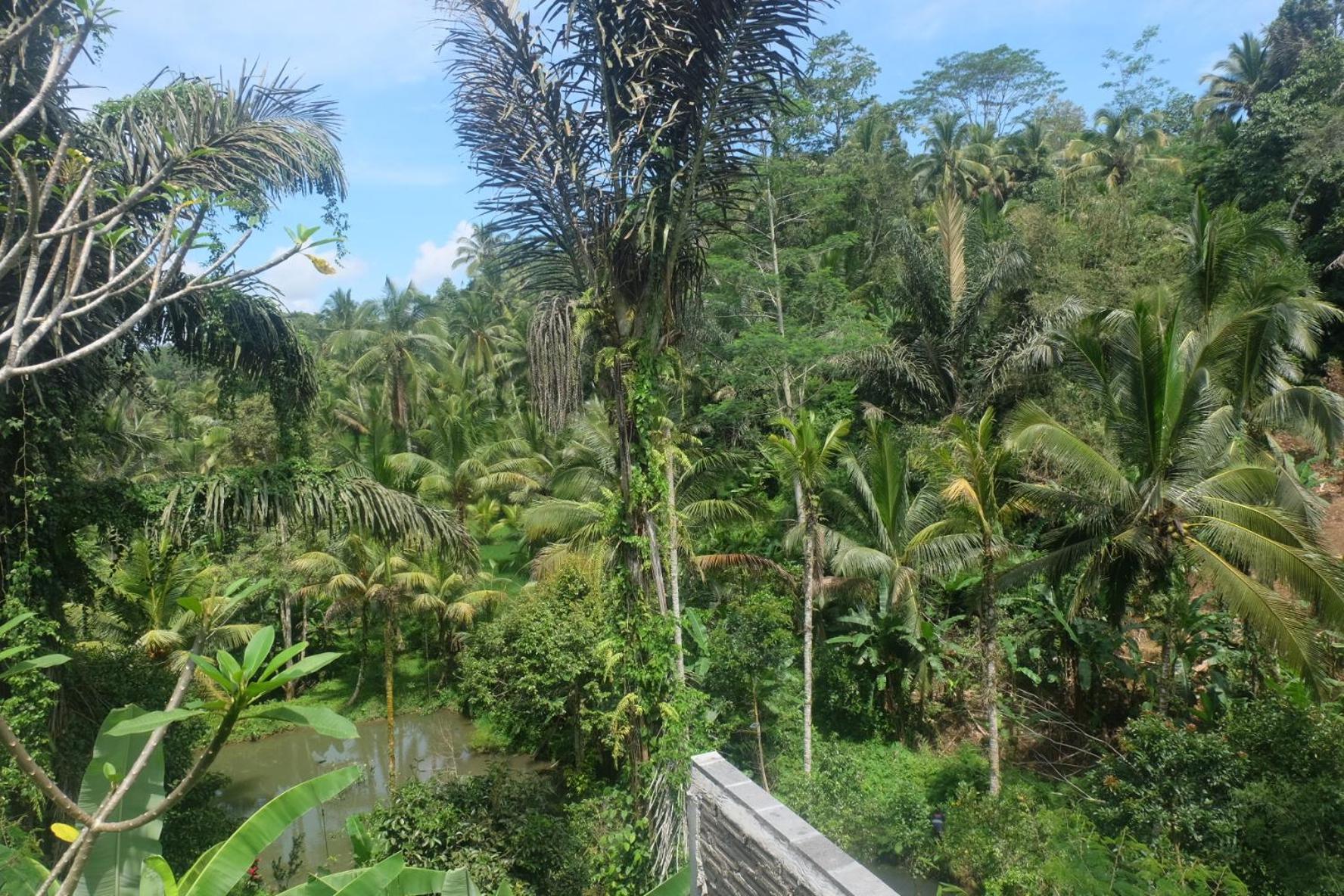 Gunung Kawi House Vila Tegallalang  Exterior foto